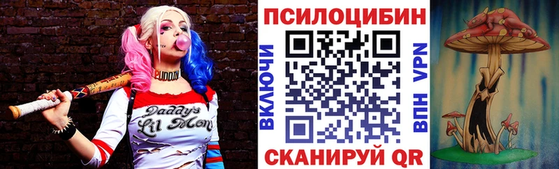Галлюциногенные грибы Cubensis  Ивдель 